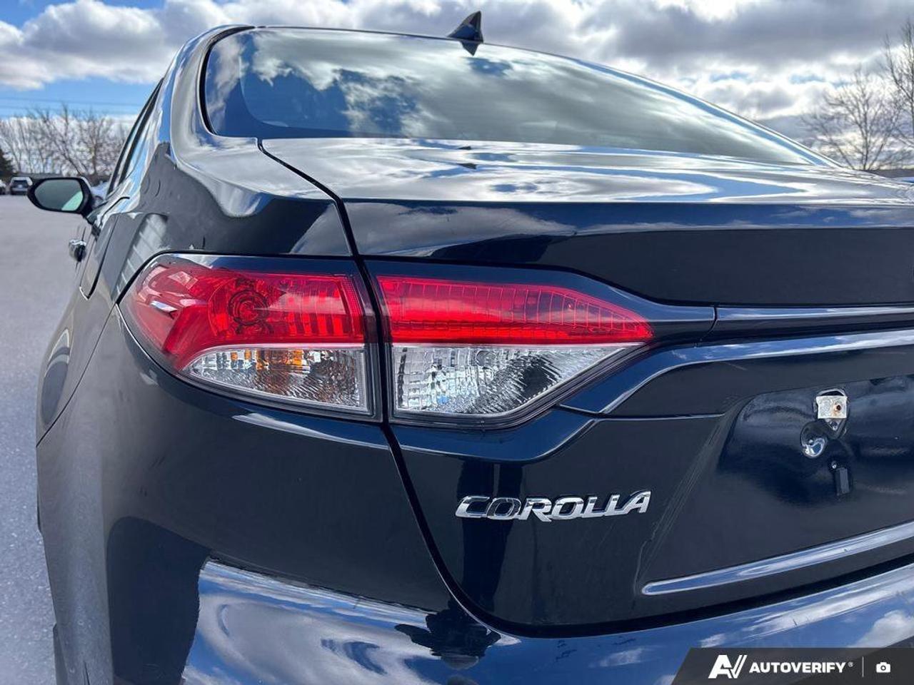 2024 Toyota Corolla LE Photo