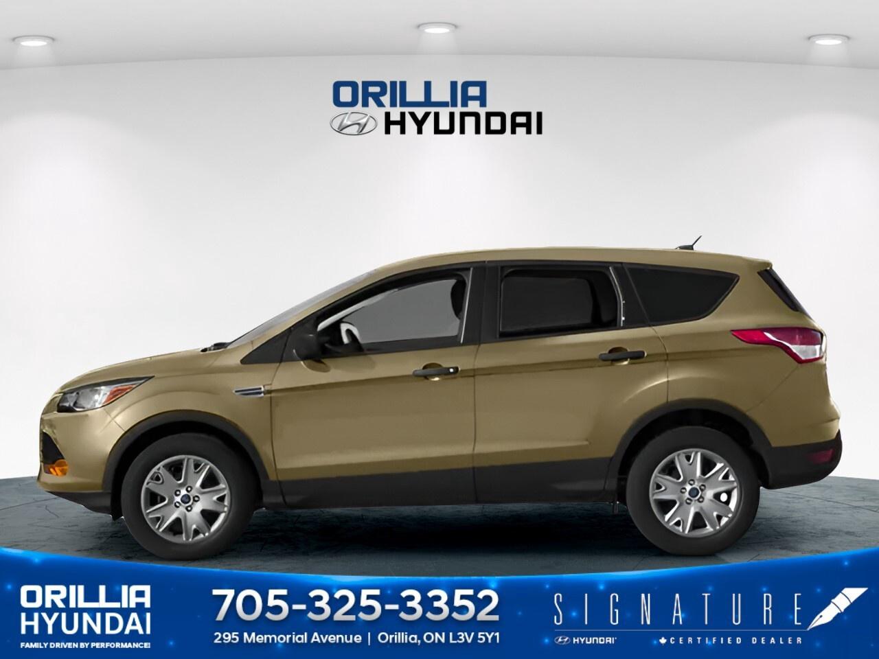 2014 Ford Escape 4WD 4dr SE Photo2