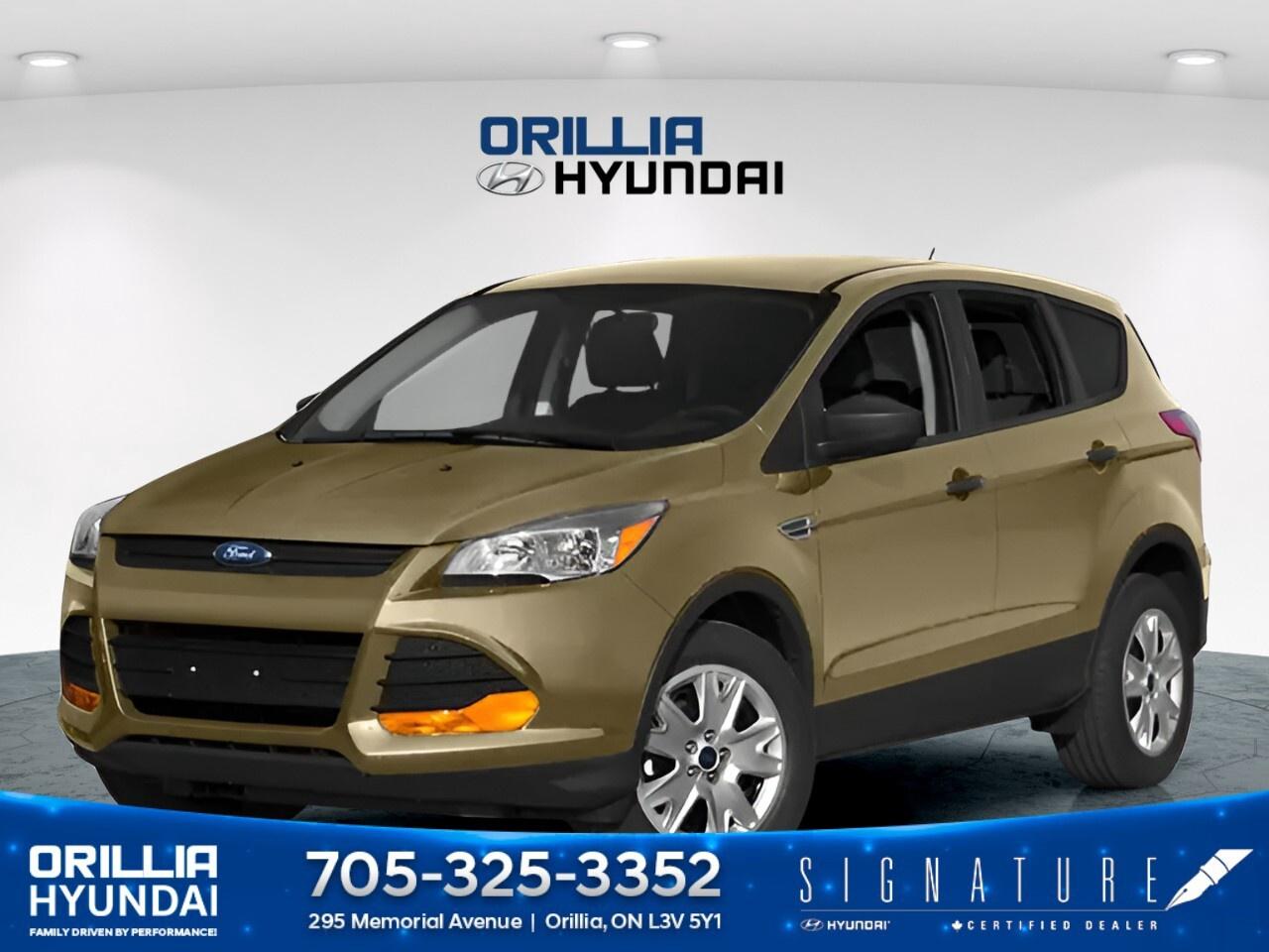 2014 Ford Escape 4WD 4dr SE Photo