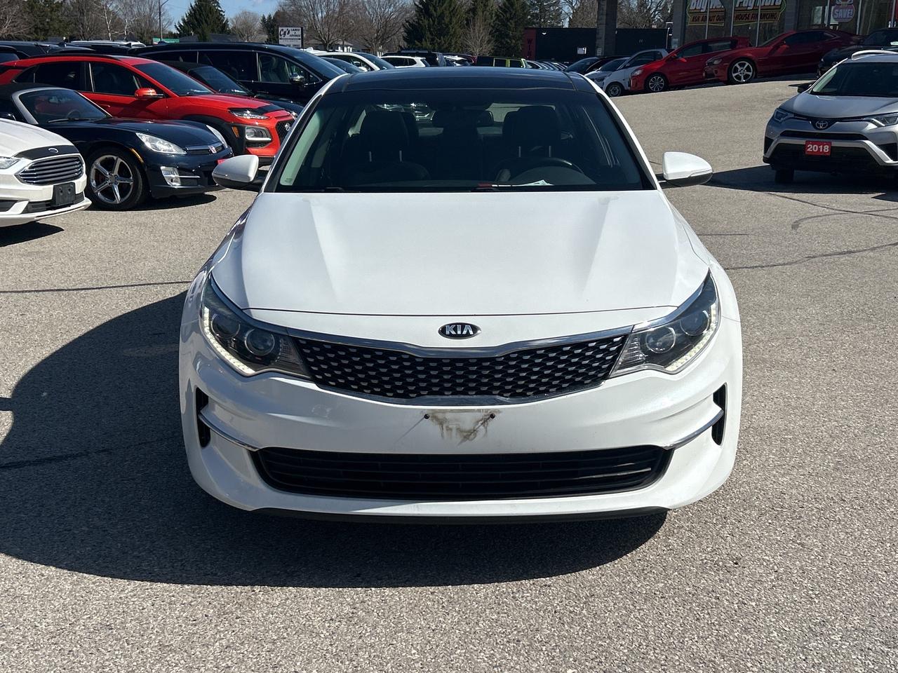2016 Kia Optima EX TECH, HEATED/ COOLED LEATHER, SUNROOF! Photo2