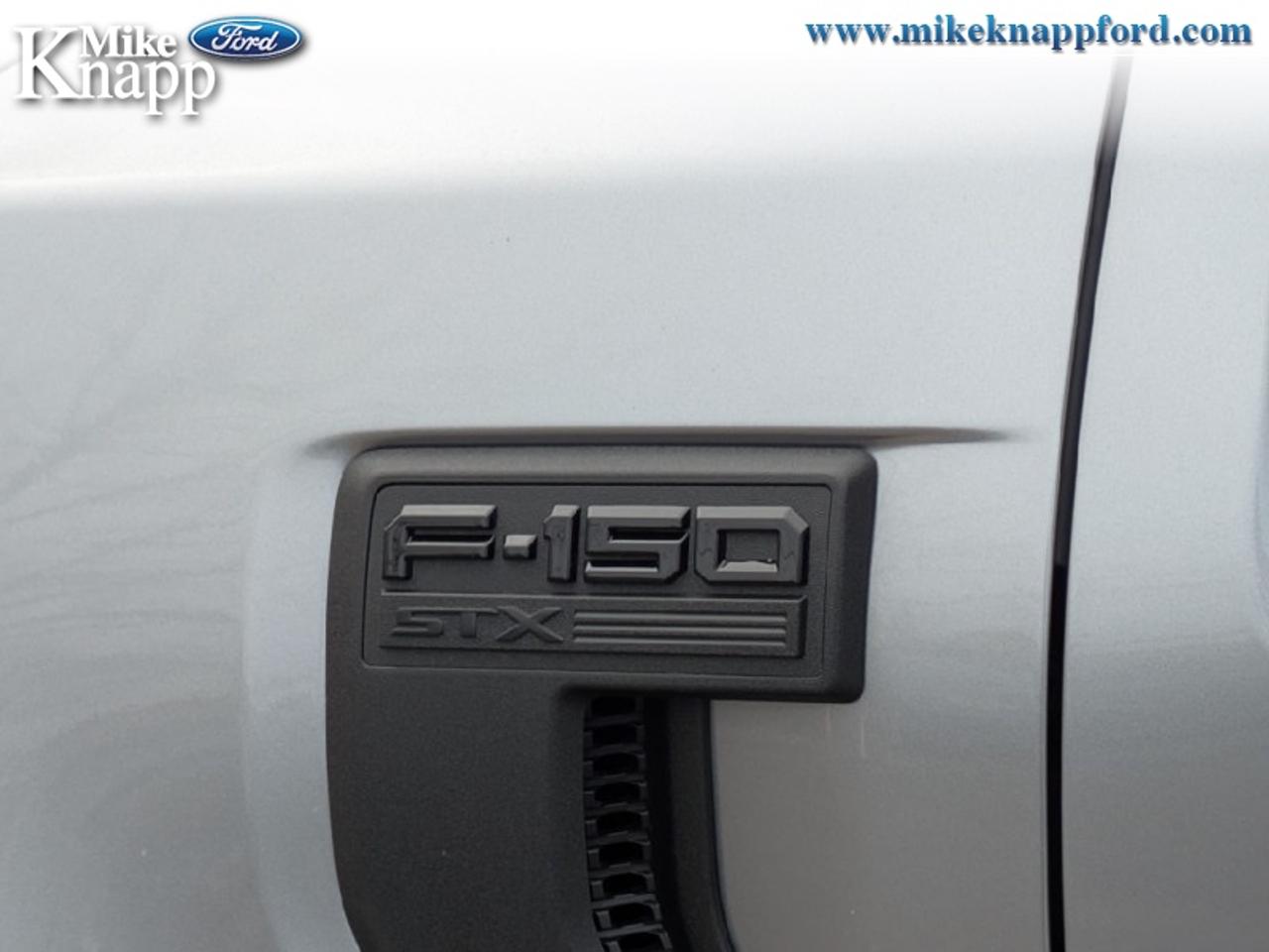 2026 Ford F-150 STX Photo