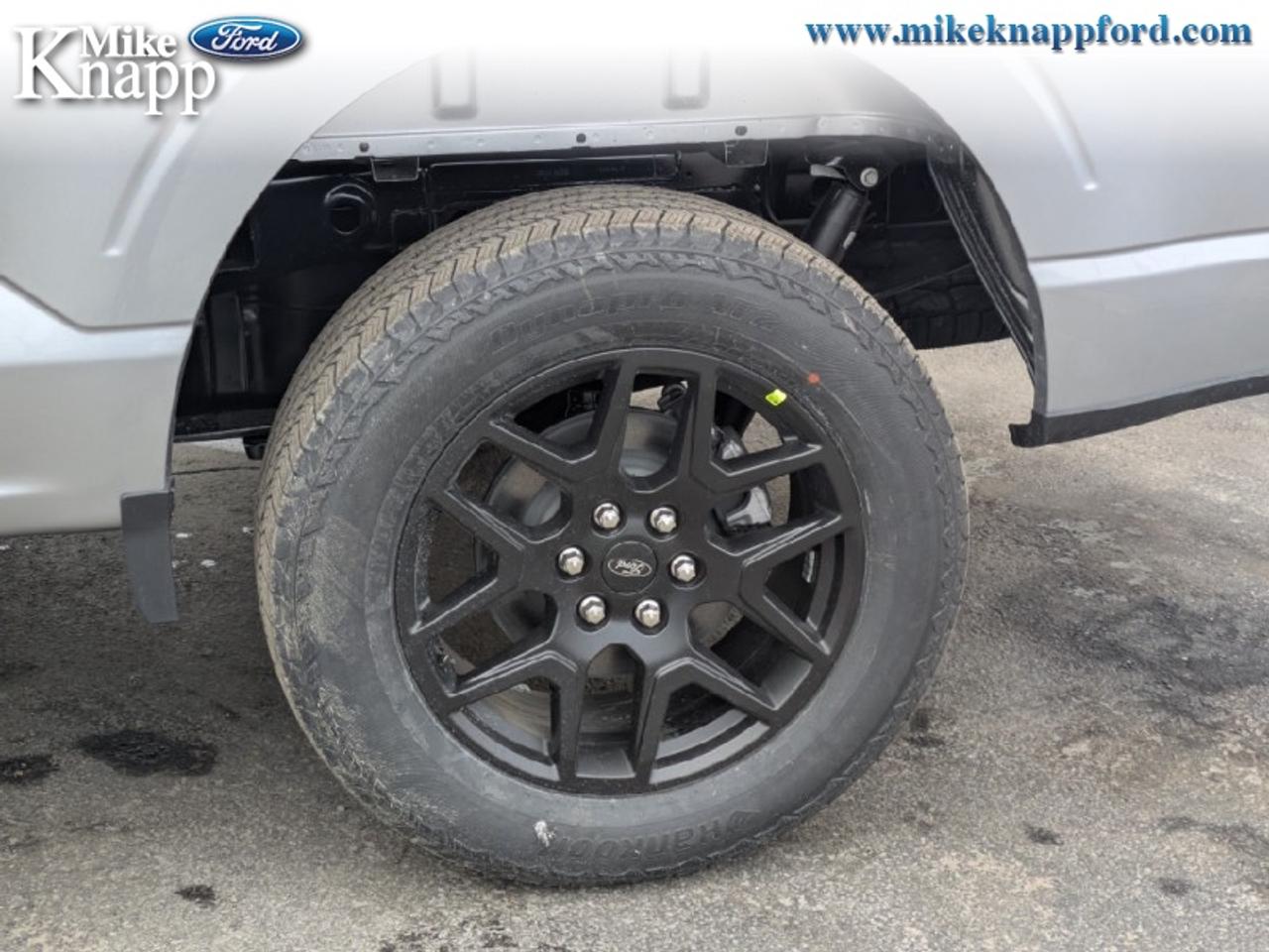 2026 Ford F-150 STX Photo