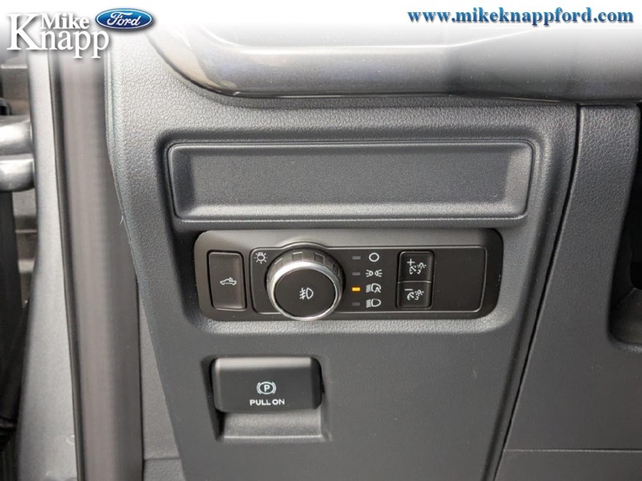 2026 Ford F-150 STX Photo