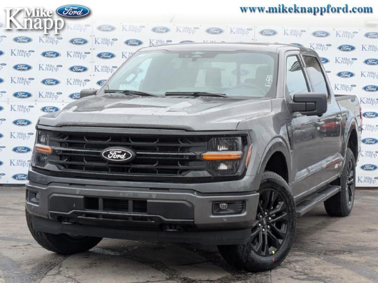 2026 Ford F-150 XLT Photo