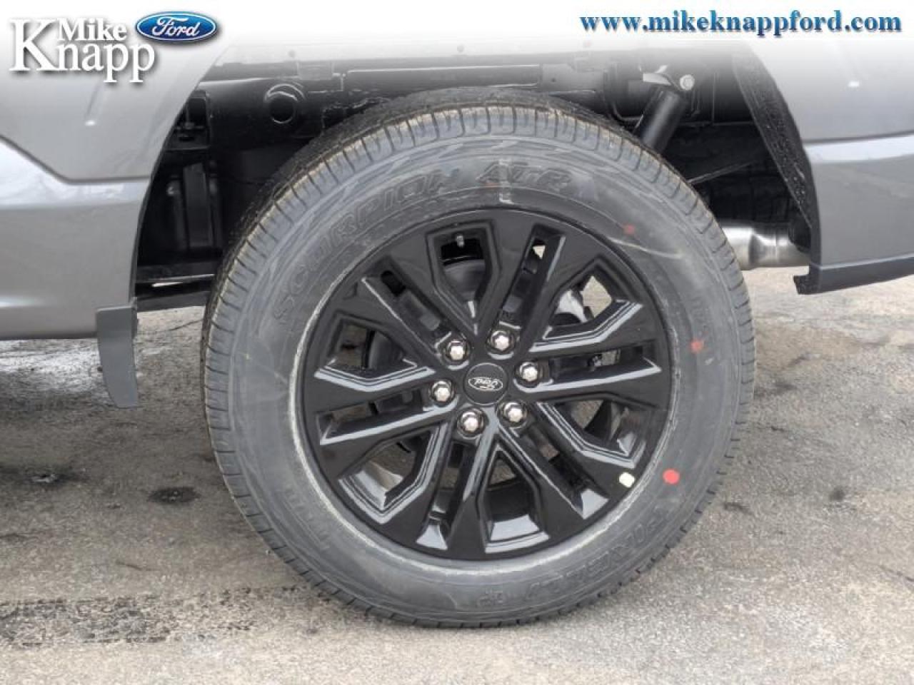 2026 Ford F-150 XLT Photo