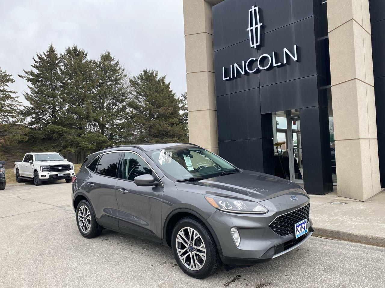 2021 Ford Escape SEL Photo0