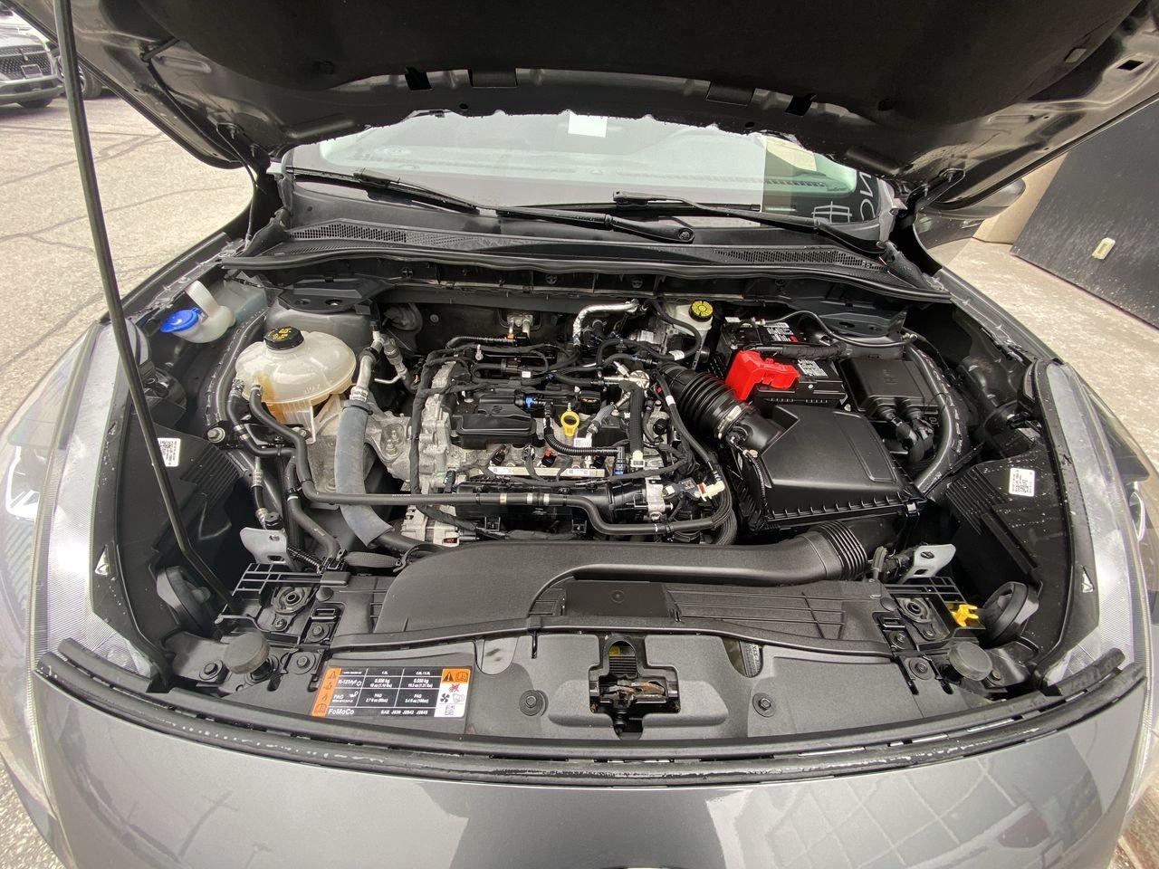 2021 Ford Escape SEL Photo