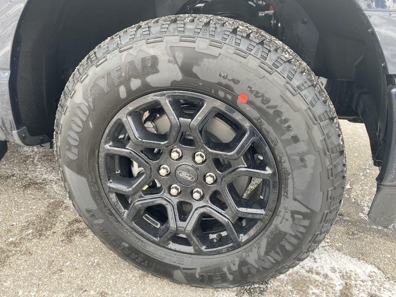 2026 Ford F-150 XLT Photo