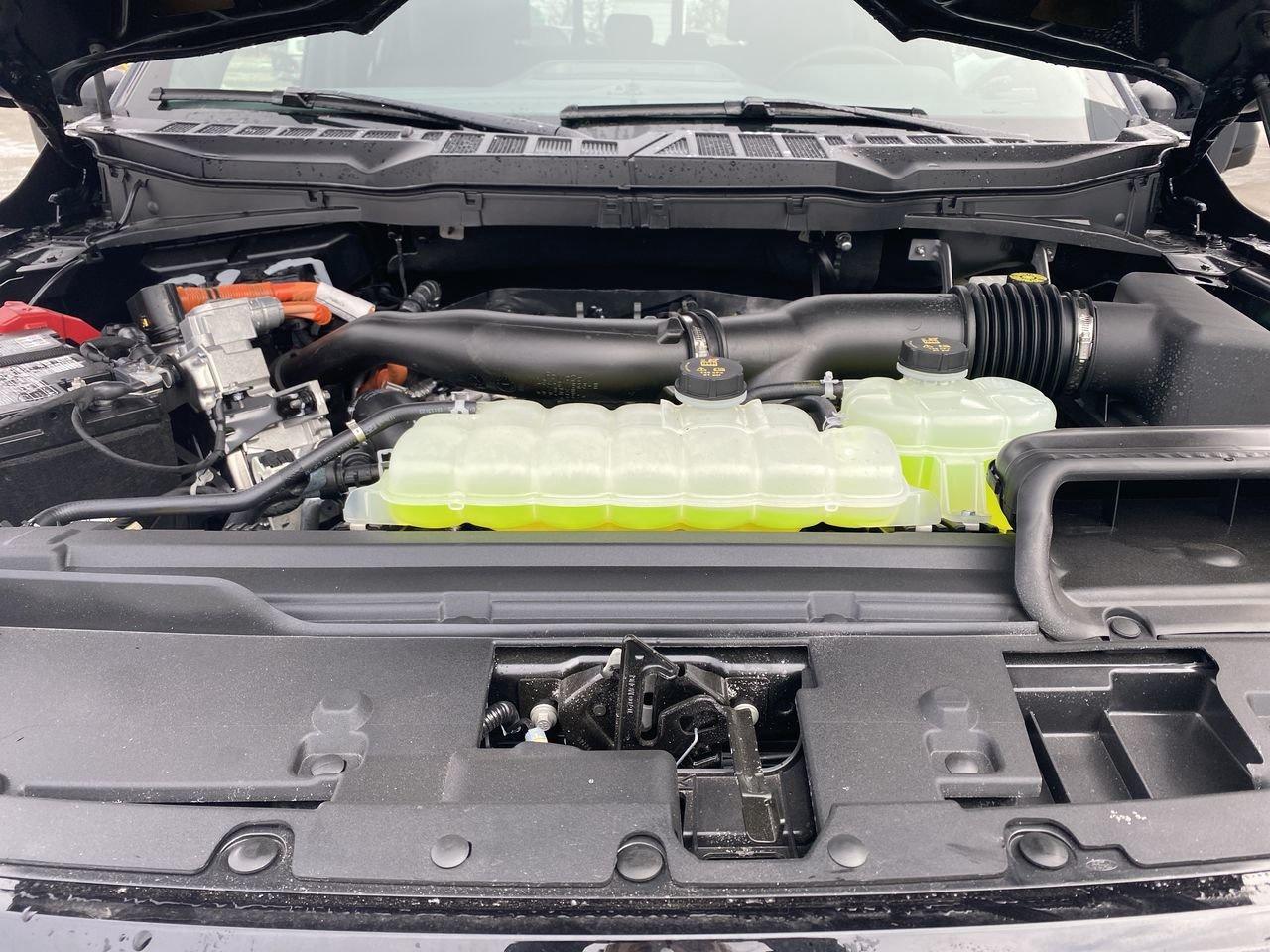 2026 Ford F-150 XLT Photo