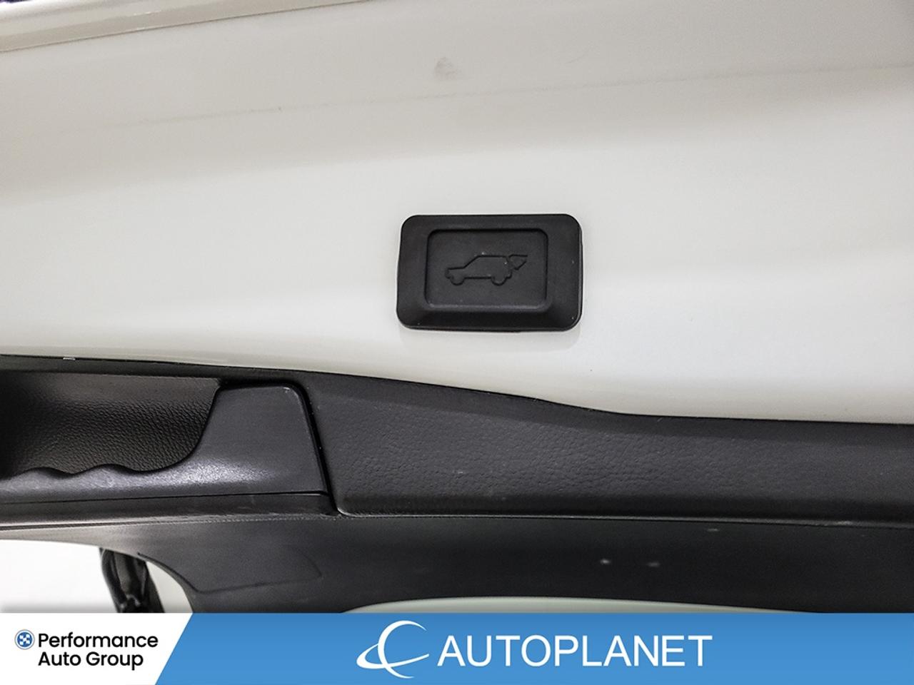 2024 Toyota RAV4 XLE AWD - FINANCE @$118/WK OR LEASE @$144/WK Photo