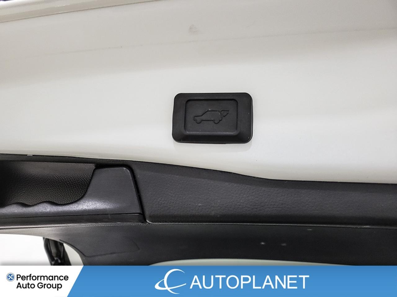 2024 Toyota RAV4 XLE AWD - FINANCE @$118/WK OR LEASE @$144/WK Photo