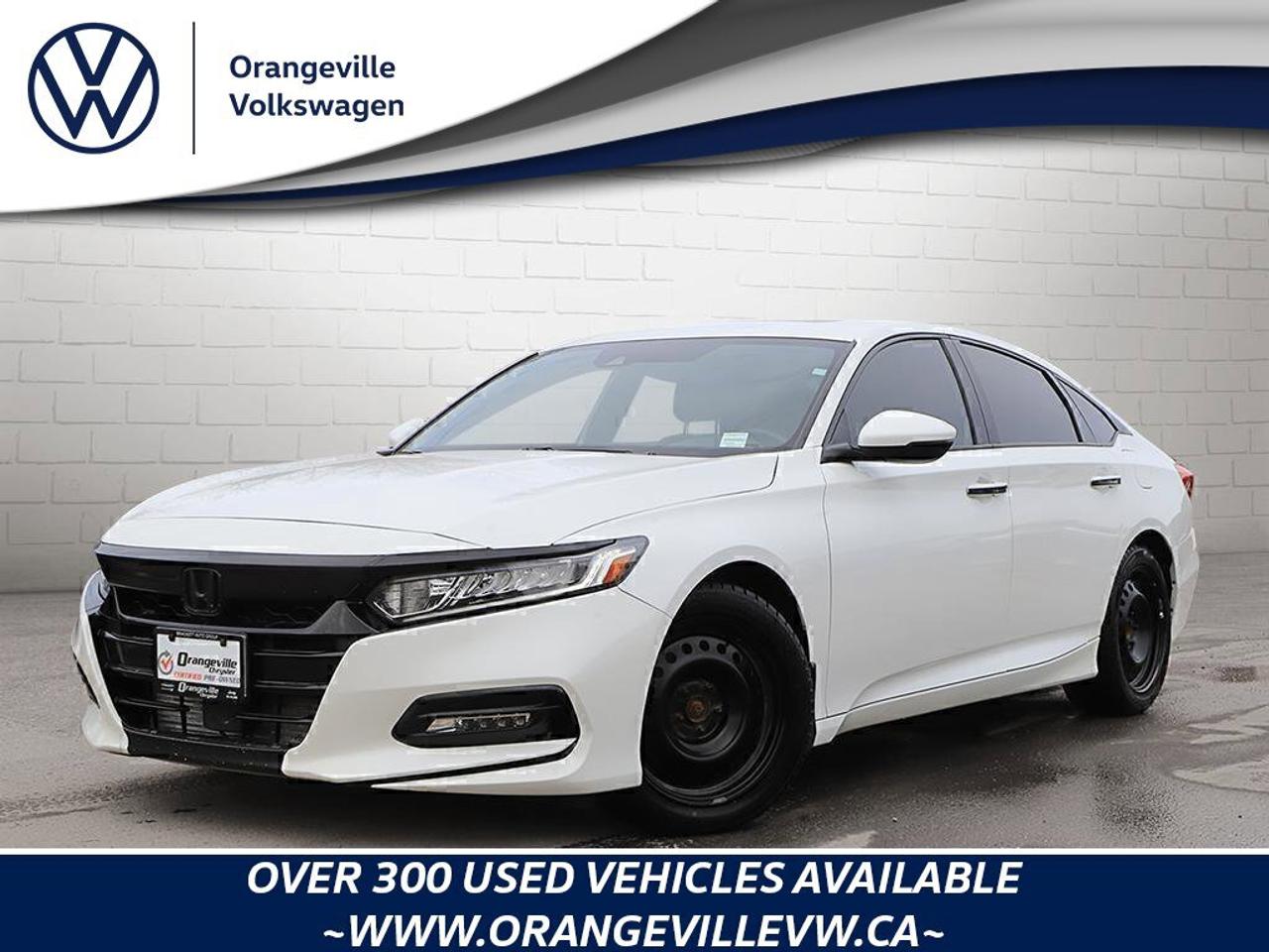2019 Honda Accord Sedan  Photo