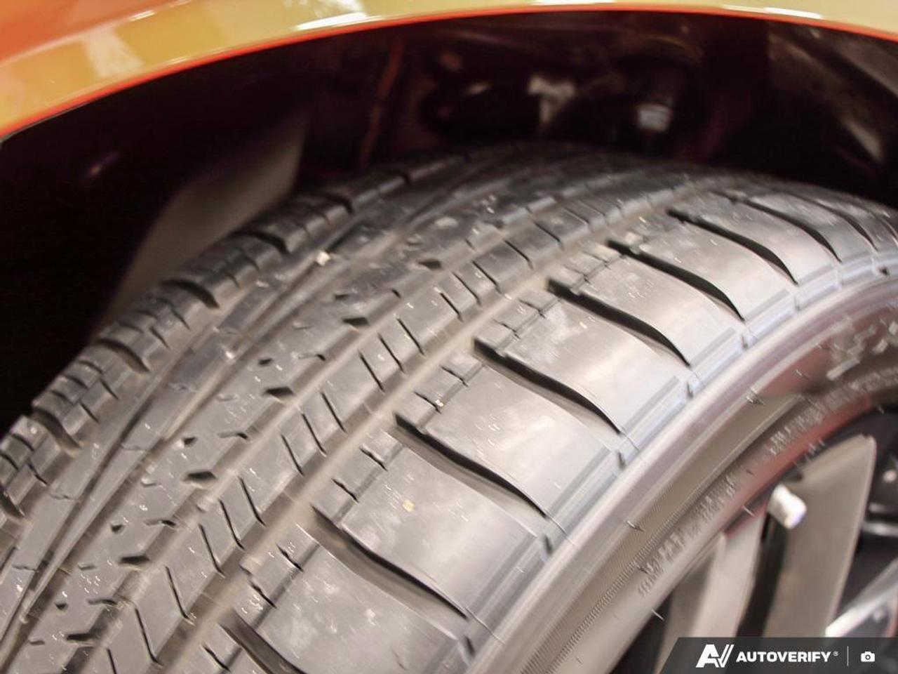 2023 Dodge Challenger  Photo