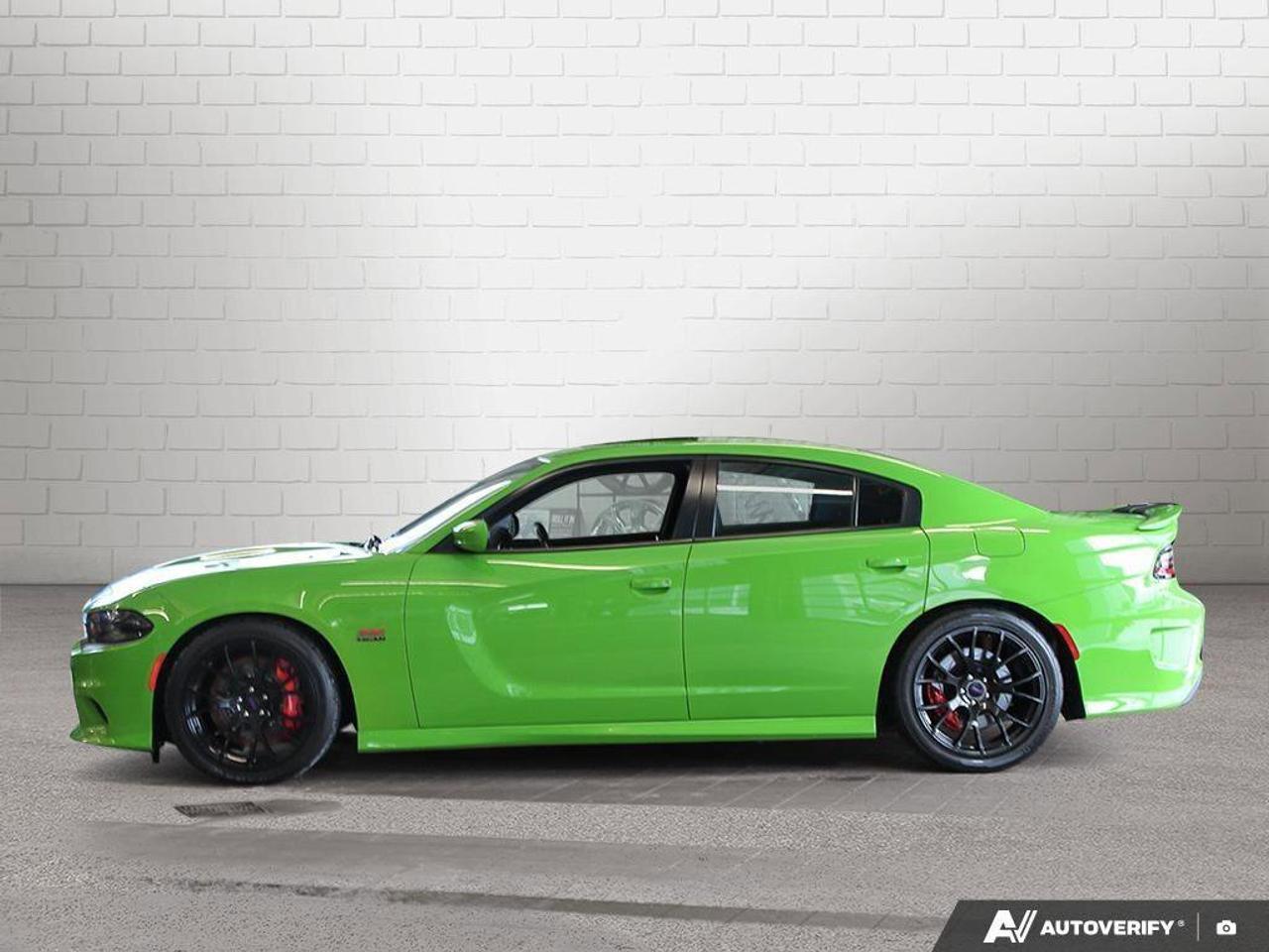2017 Dodge Charger  Photo