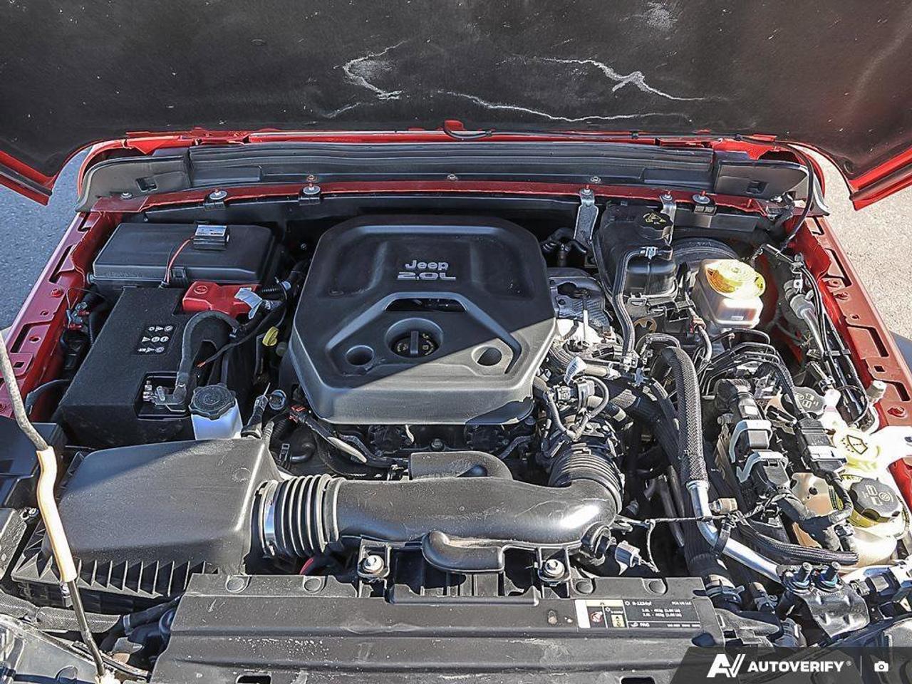 2019 Jeep Wrangler  Photo