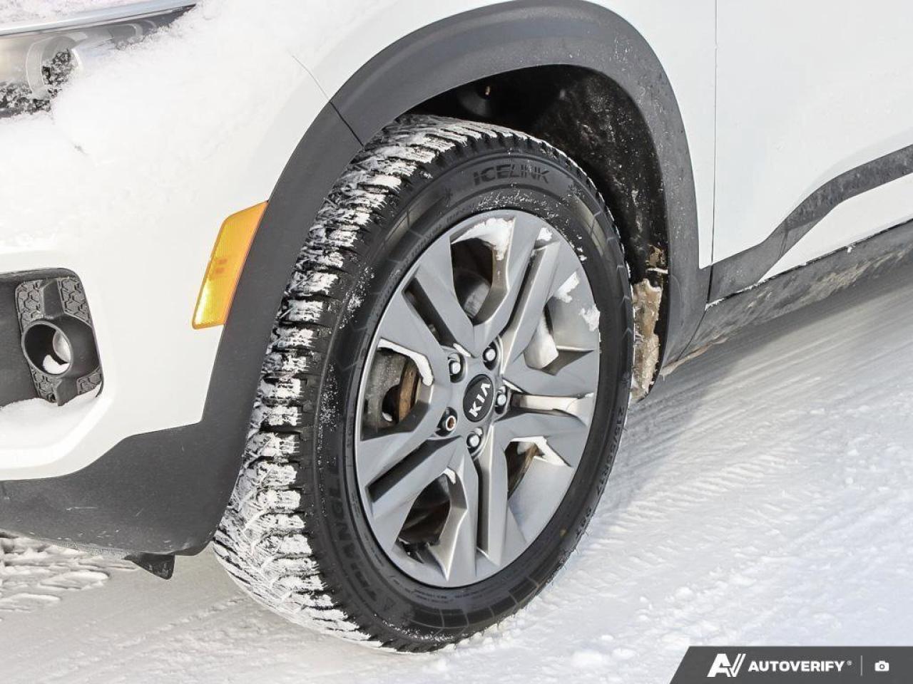 2021 Kia Seltos  Photo