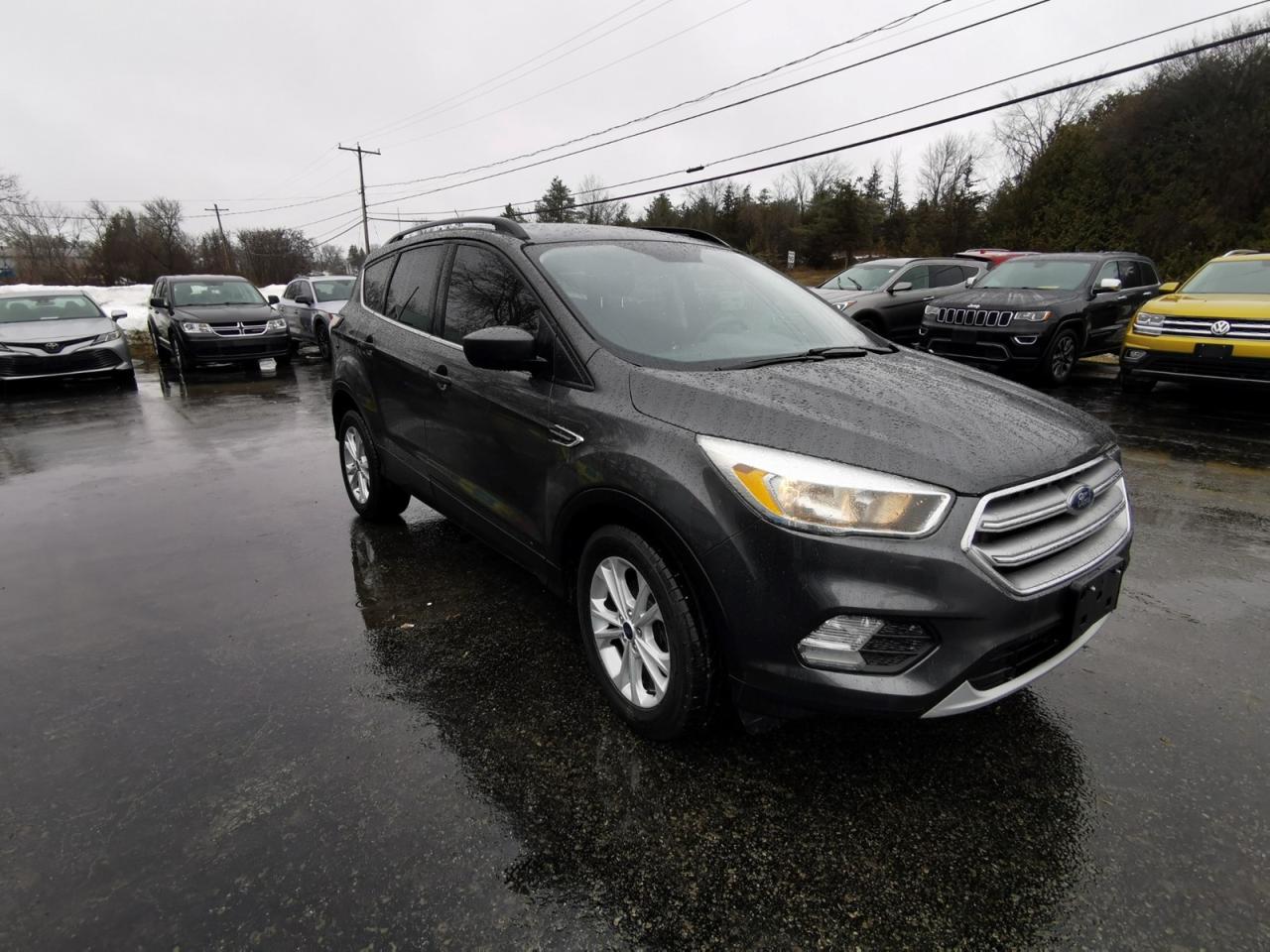 2017 Ford Escape SE Photo