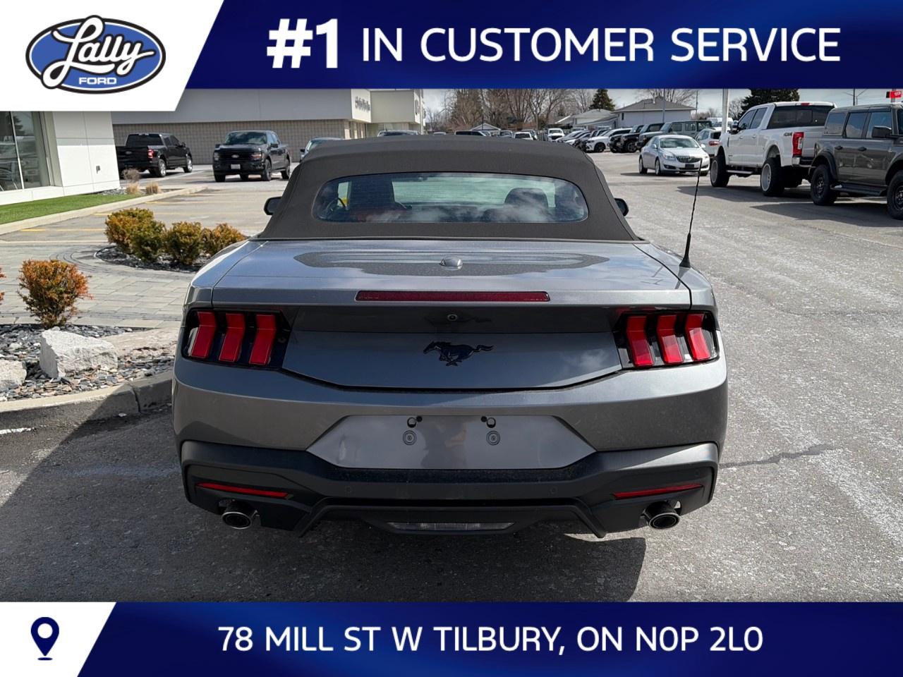 2026 Ford Mustang EcoBoost Premium Convertible Photo3