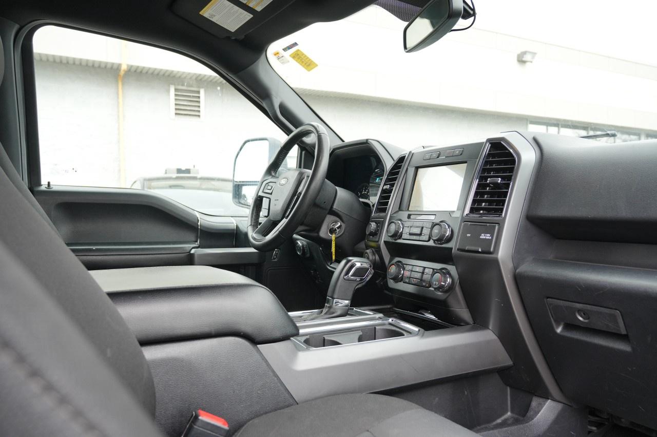 2020 Ford F-150 XLT 4WD SuperCrew 6.5' Box Photo