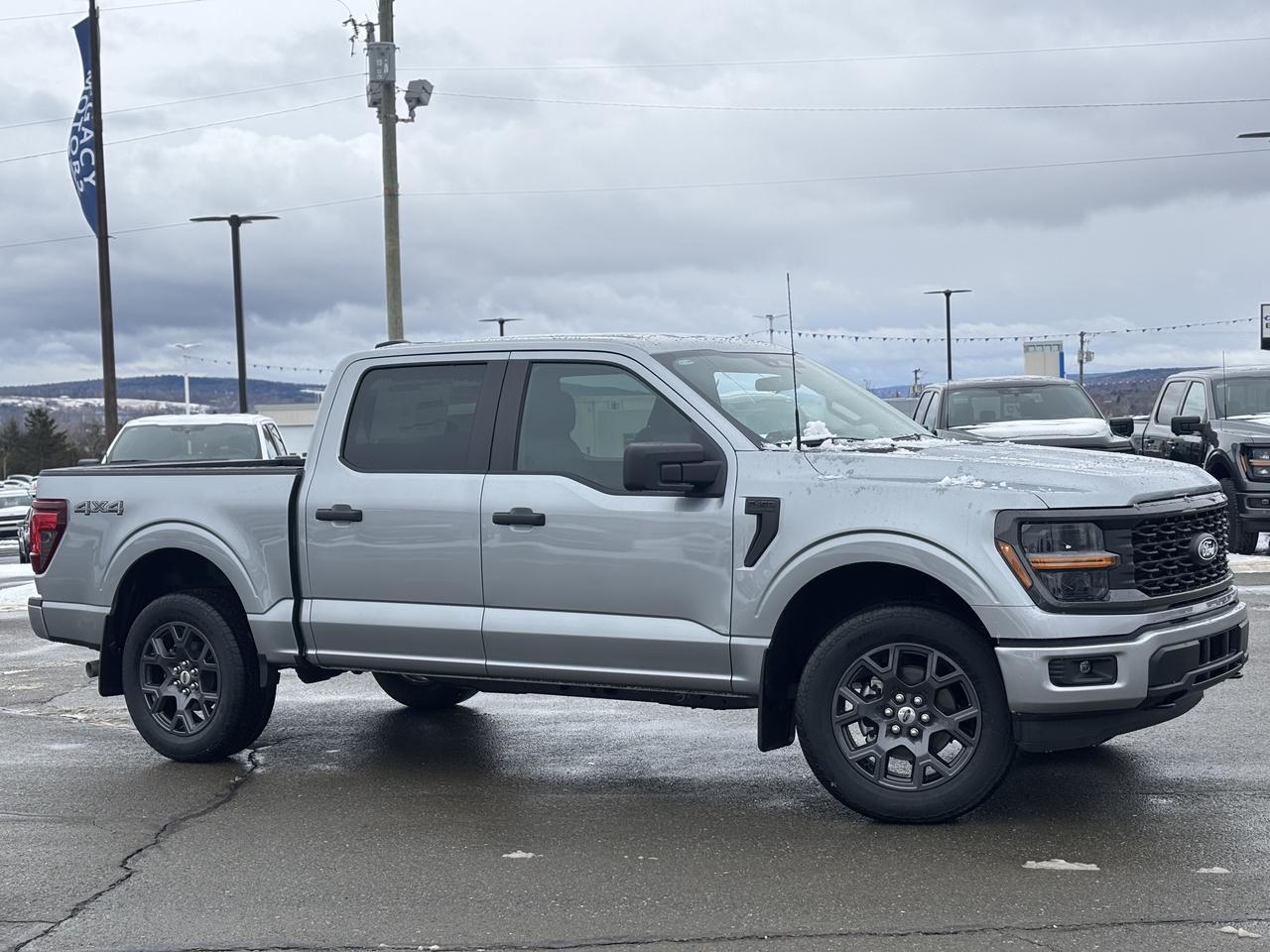 2026 Ford F-150 STX® Photo0