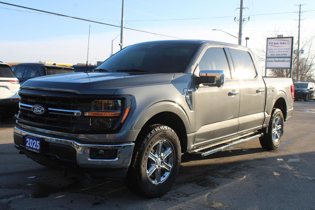 2025 Ford F-150 XLT Photo