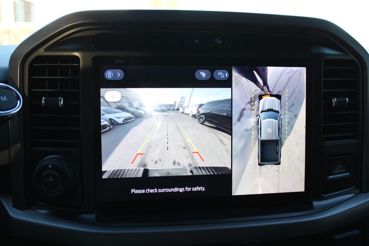 2025 Ford F-150 XLT Photo