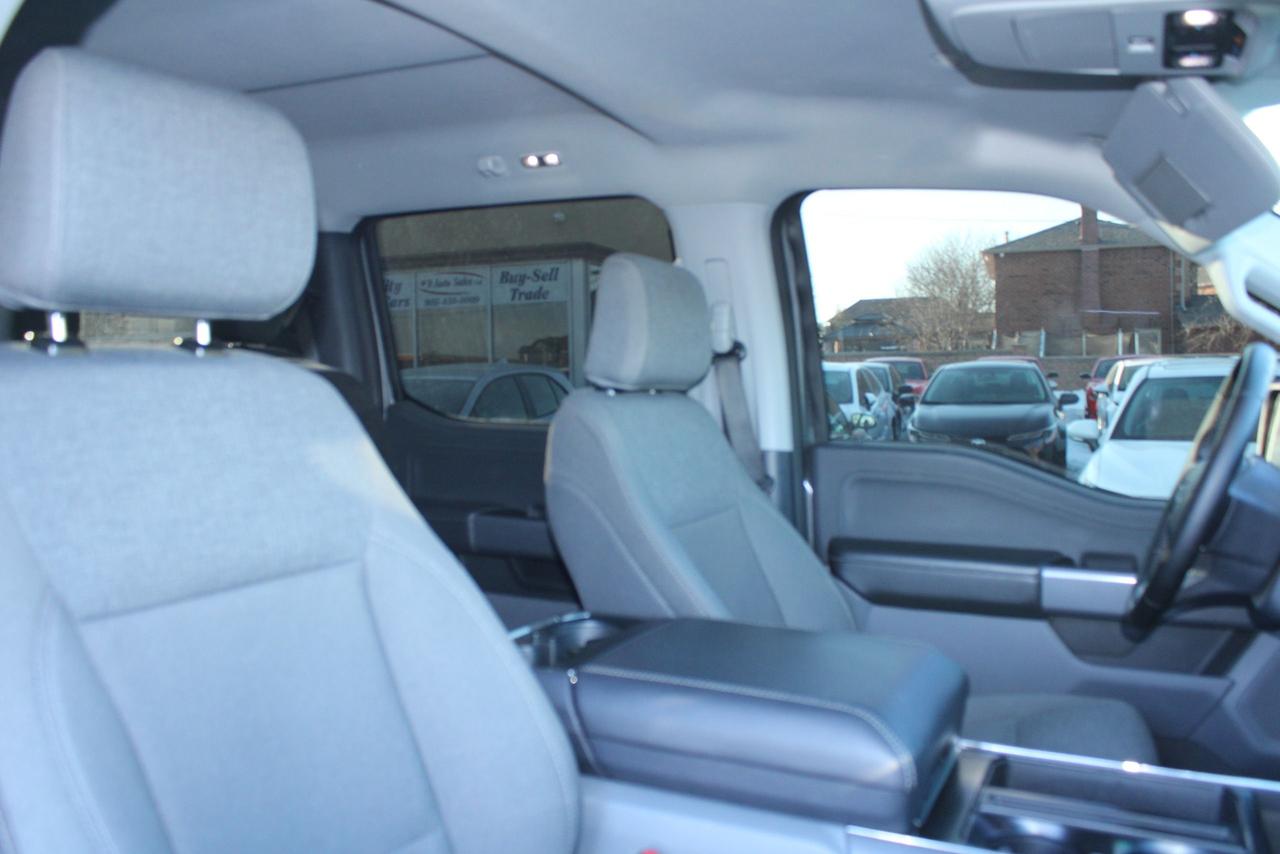 2025 Ford F-150 XLT Photo