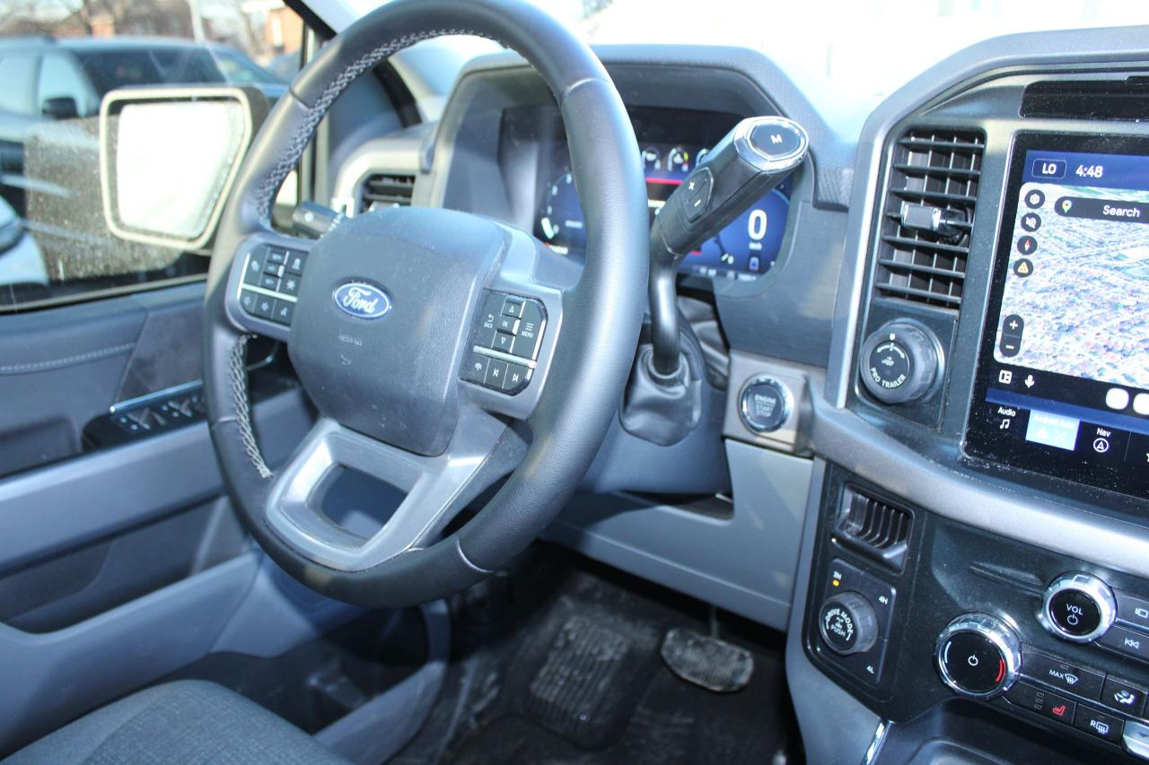 2025 Ford F-150 XLT Photo