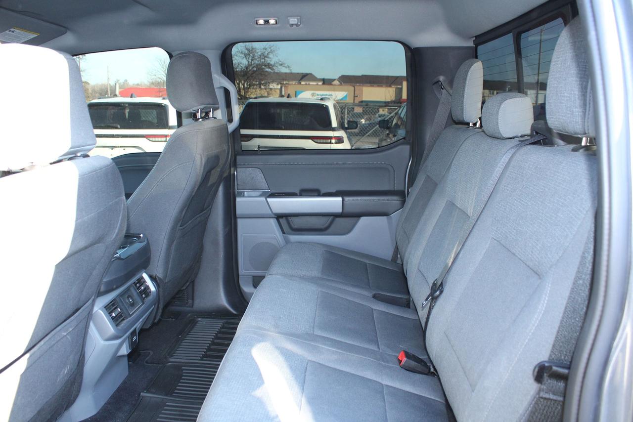 2025 Ford F-150 XLT Photo