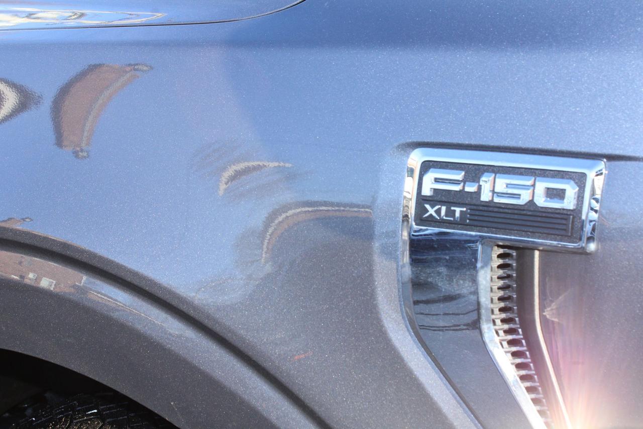 2025 Ford F-150 XLT Photo