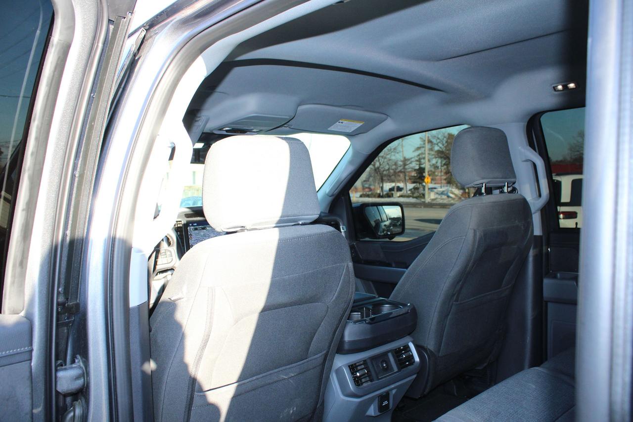 2025 Ford F-150 XLT Photo