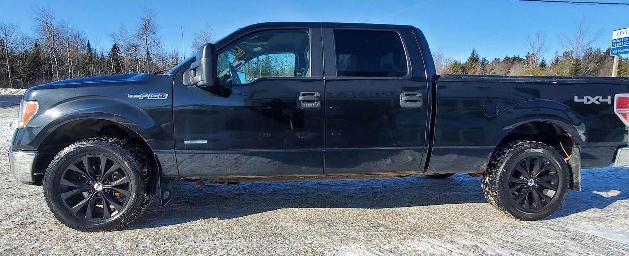 2014 Ford F-150 XLT Photo