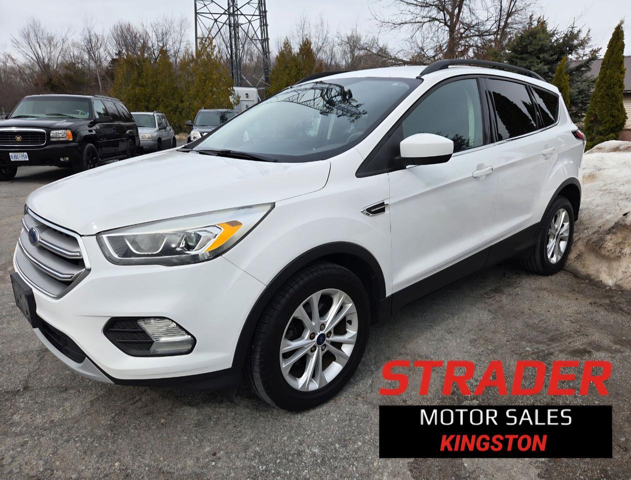 Used 2017 Ford Escape SE for sale in Kingston, ON