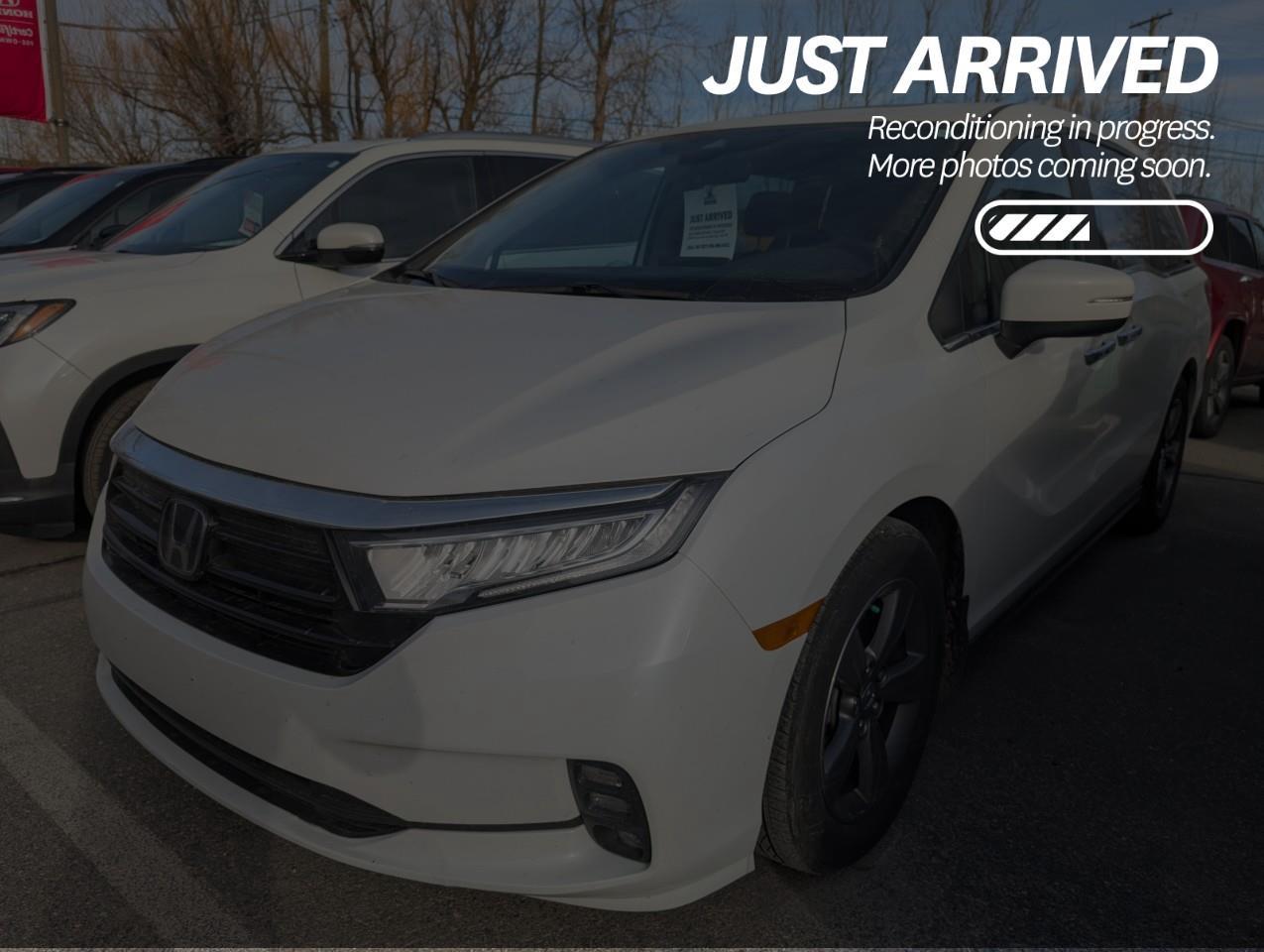 Used 2022 Honda Odyssey EX-RES $280 BI-WEEKLY for sale in Cranbrook, BC