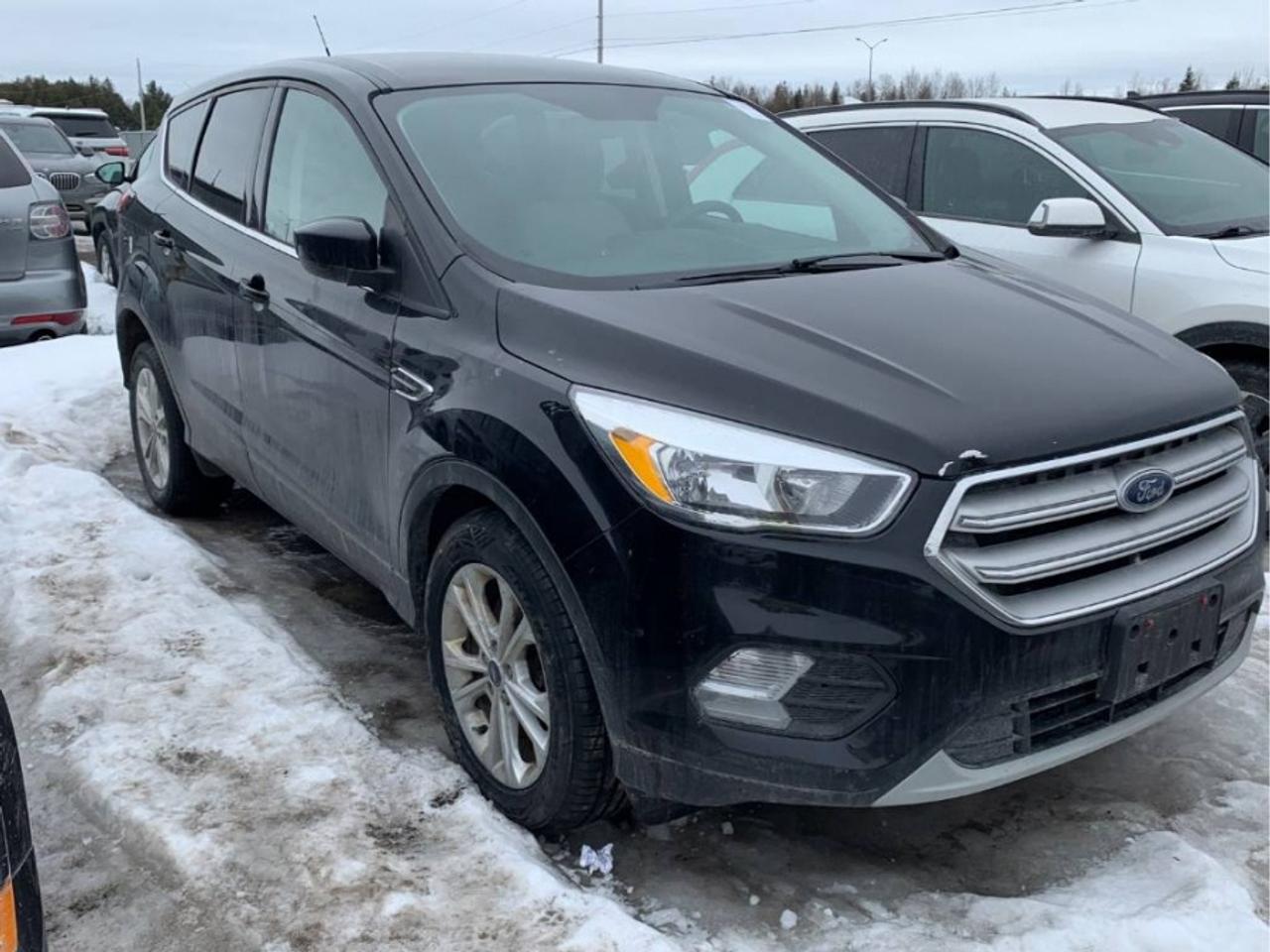 2019 Ford Escape * 4X4 * SE Photo