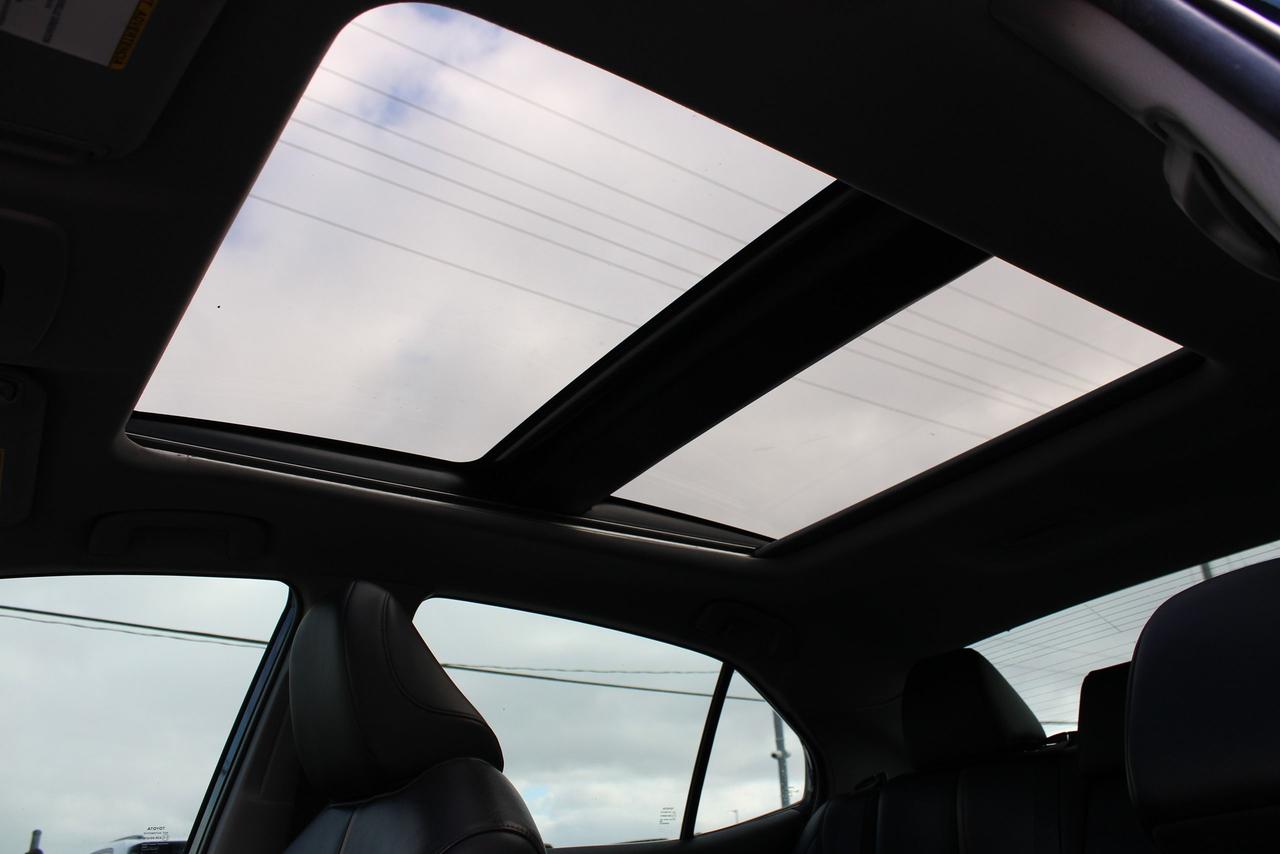 2020 Toyota Camry XLE Photo