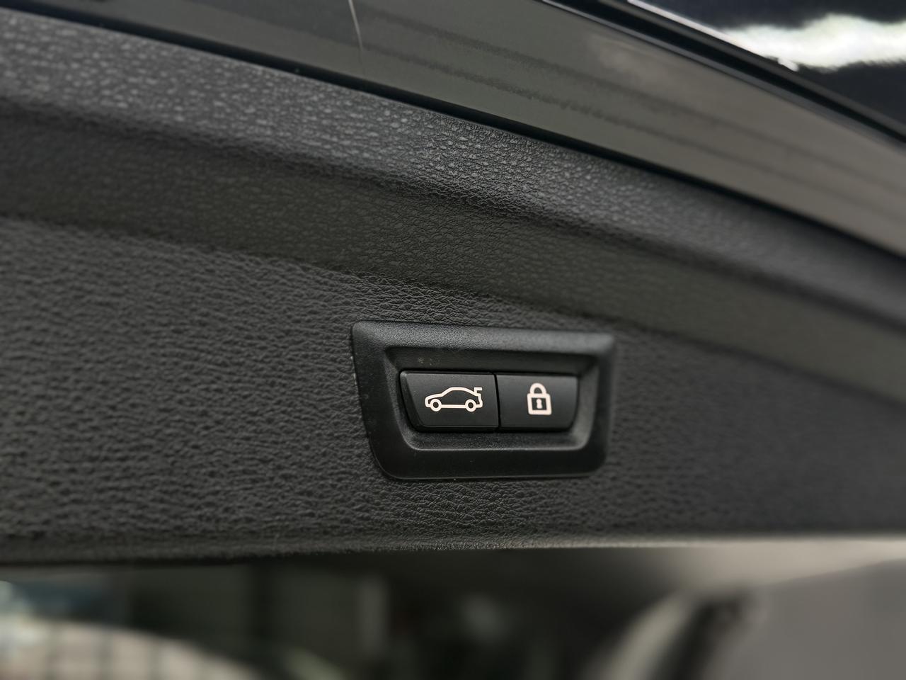 2022 BMW X2 M SPORT|NAV|BACKUP|FCW|LKA|PANO| Photo