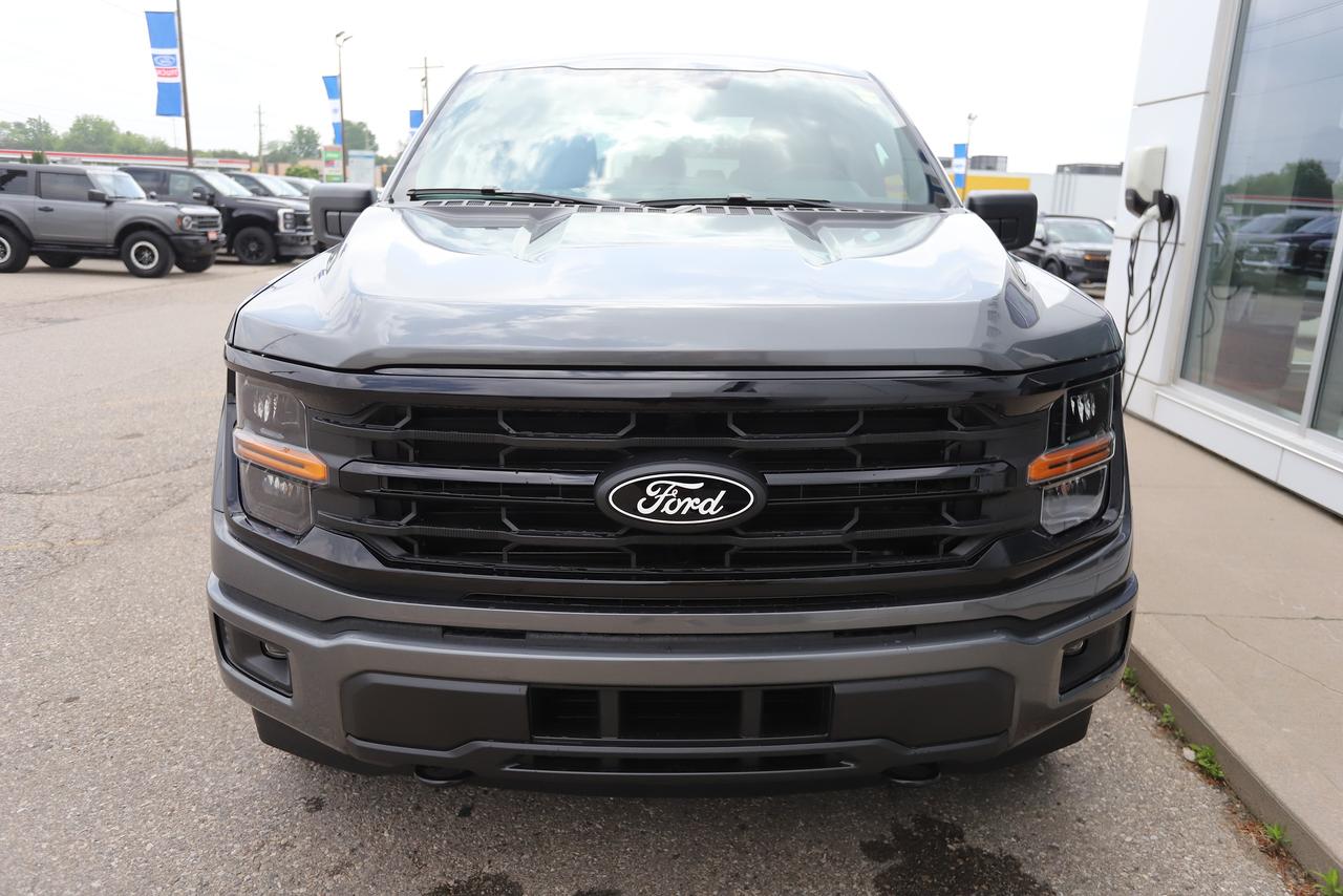 2026 Ford F-150 XLT 4WD SuperCrew 5.5' Box Photo