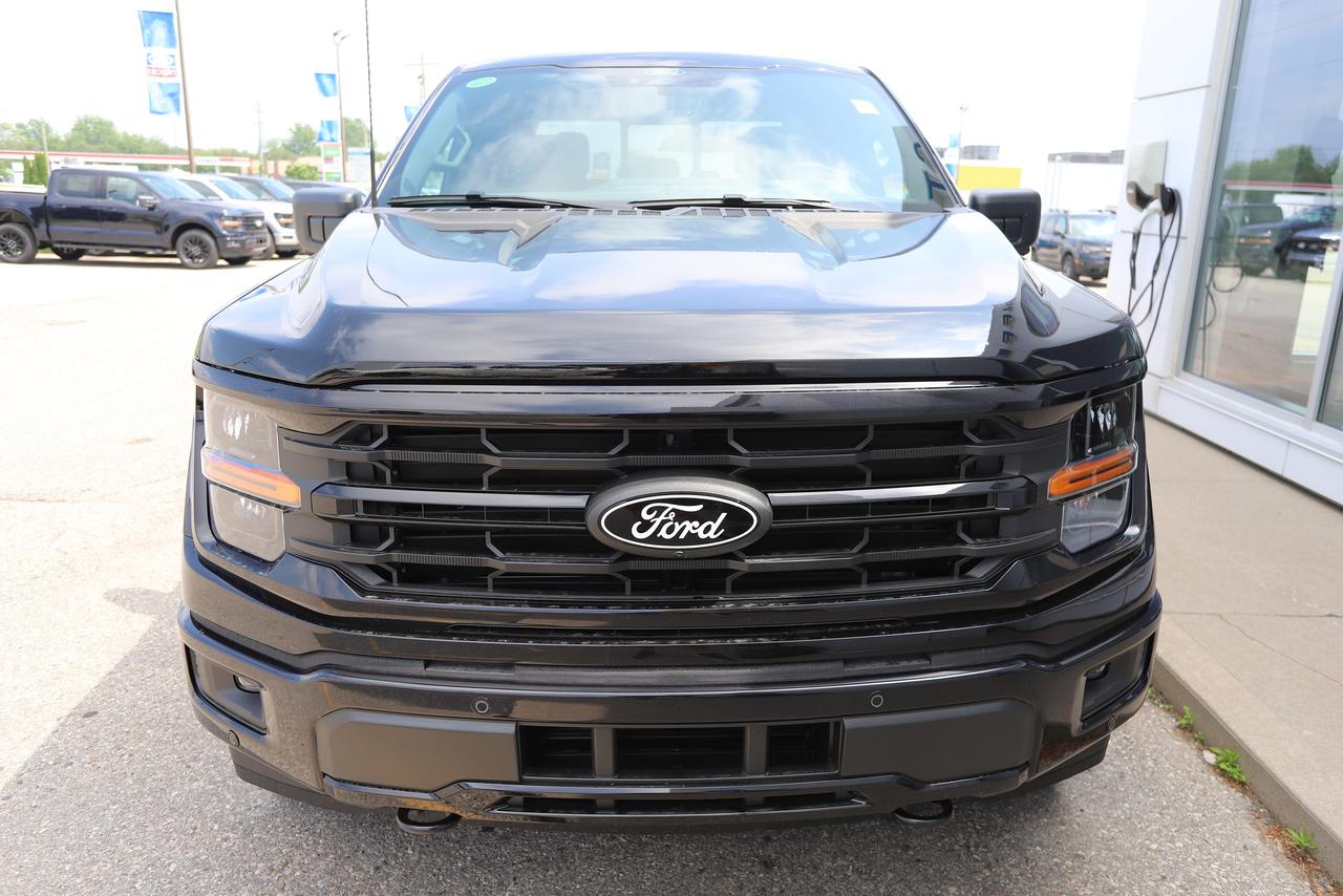 2026 Ford F-150 XLT 4WD SuperCrew 5.5' Box Photo