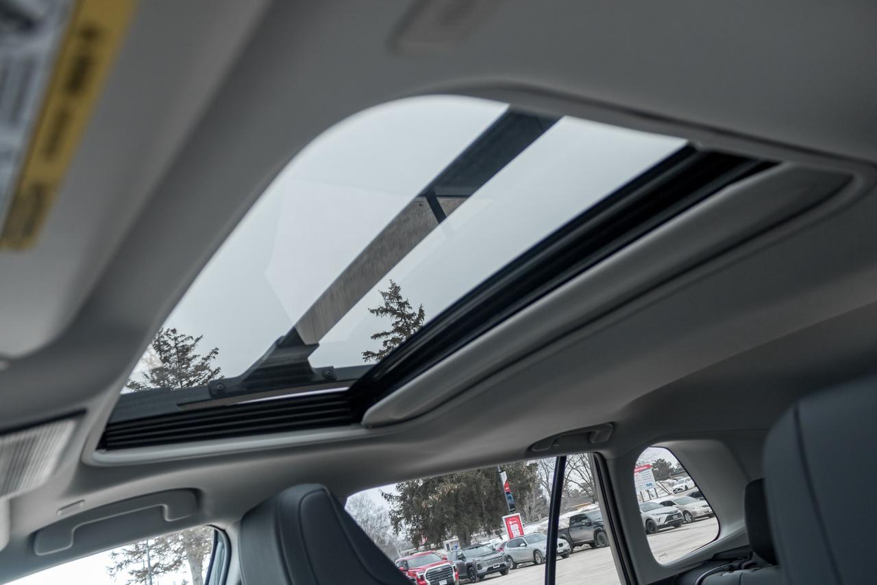 2026 Toyota RAV4 Woodland 4dr All-Wheel Drive Photo