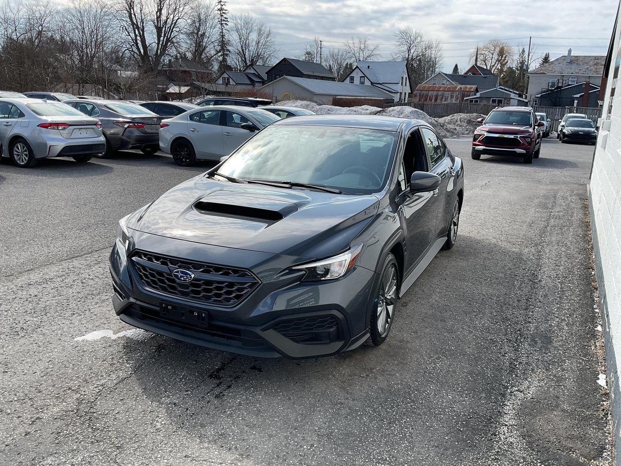 2023 Subaru WRX Base (M6) 4dr All-Wheel Drive Sedan Photo