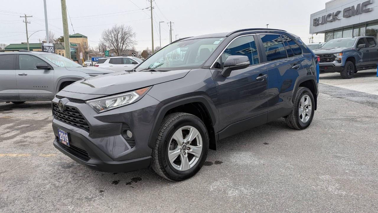 2019 Toyota RAV4 AWD XLE Photo
