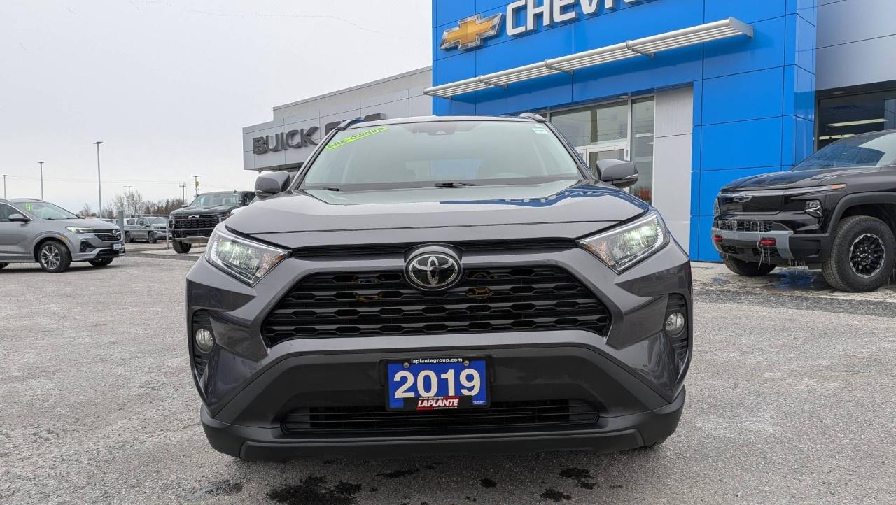 2019 Toyota RAV4 AWD XLE Photo