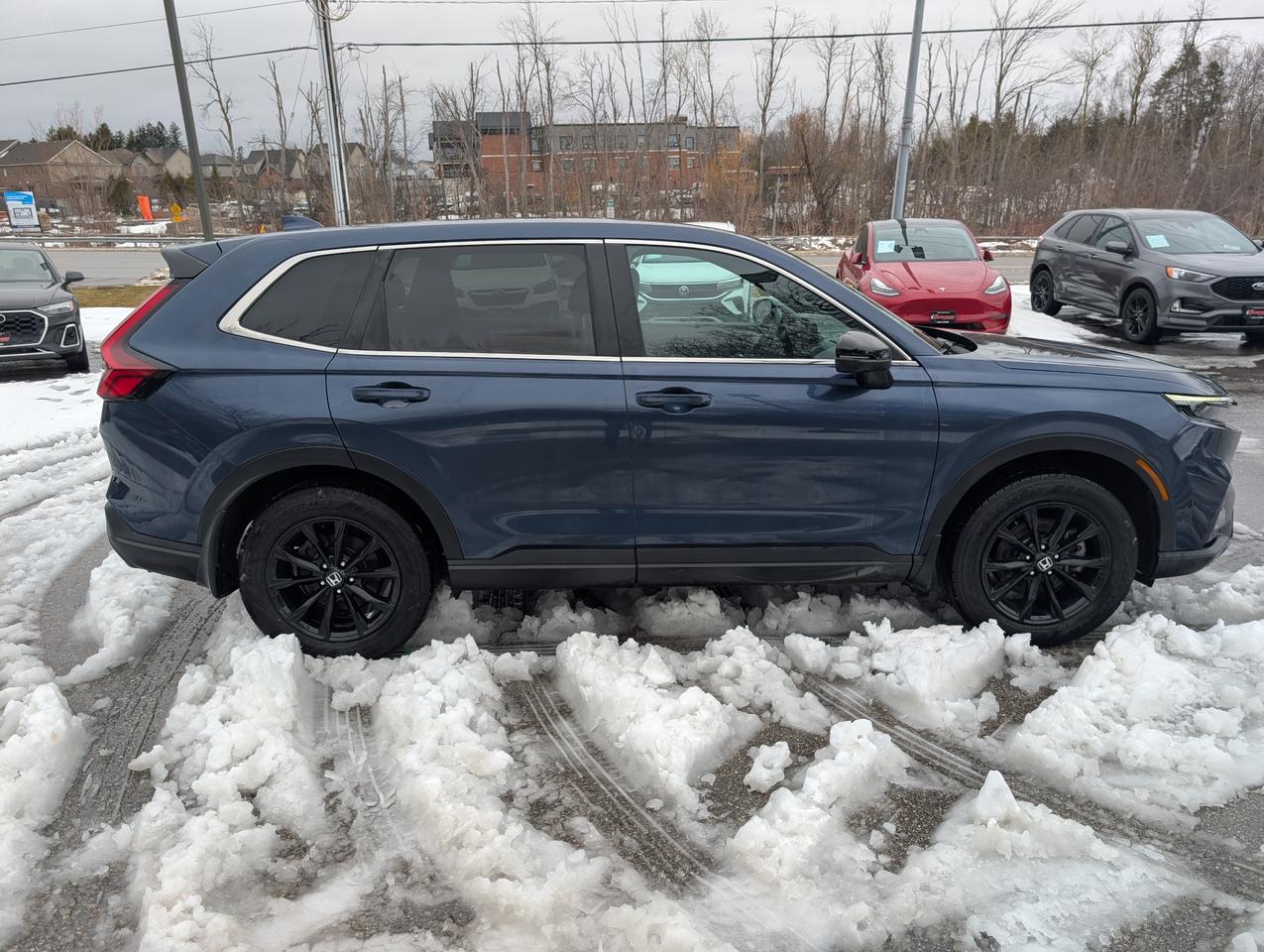 2024 Honda CR-V Hybrid EX-L 4dr All-Wheel Drive Photo