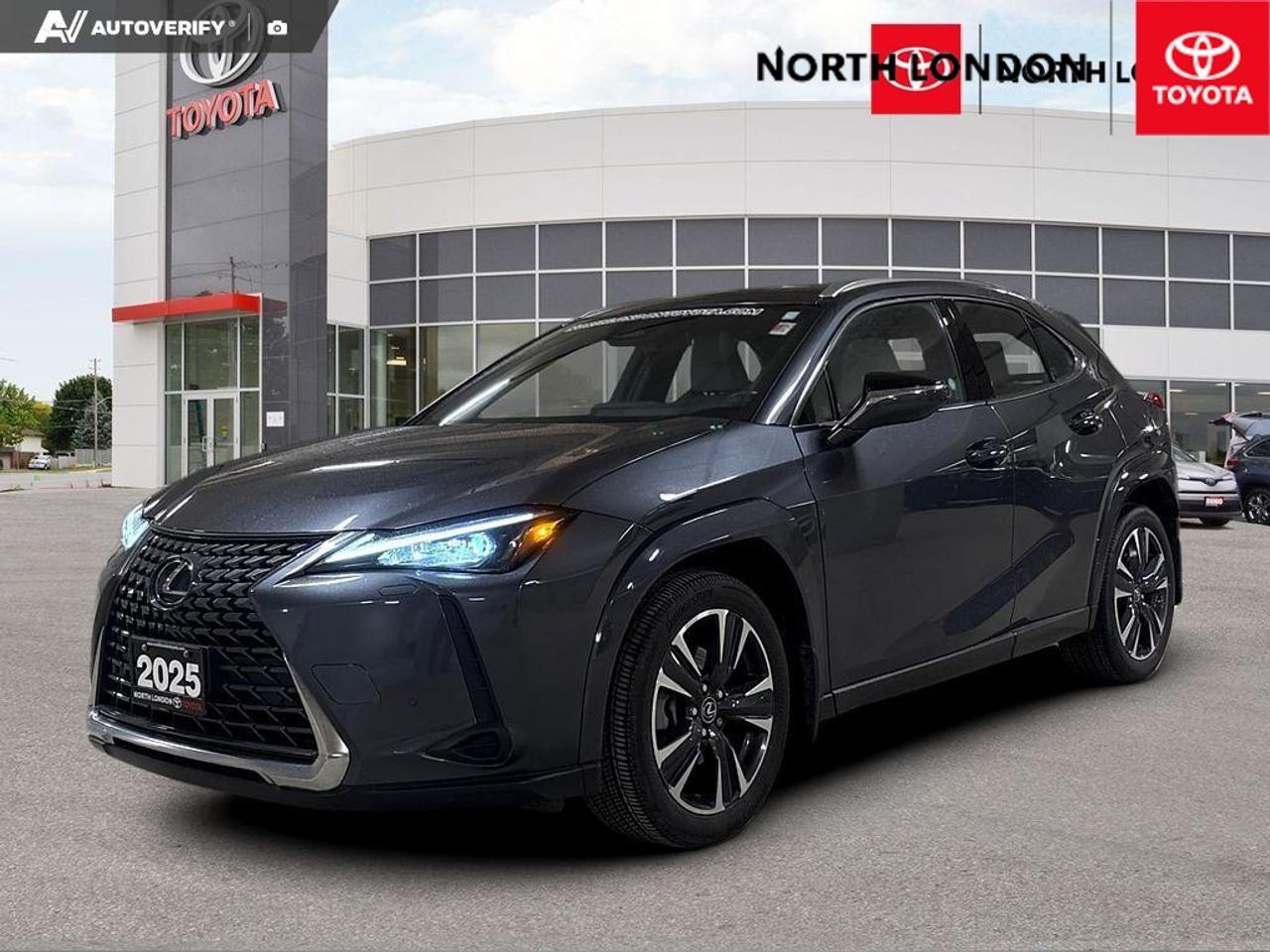 2025 Lexus UX 300H Base 4dr All-Wheel Drive Photo