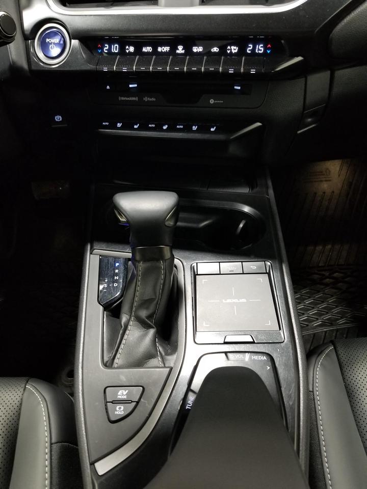 2021 Lexus UX 250H Base 4dr All-Wheel Drive Photo