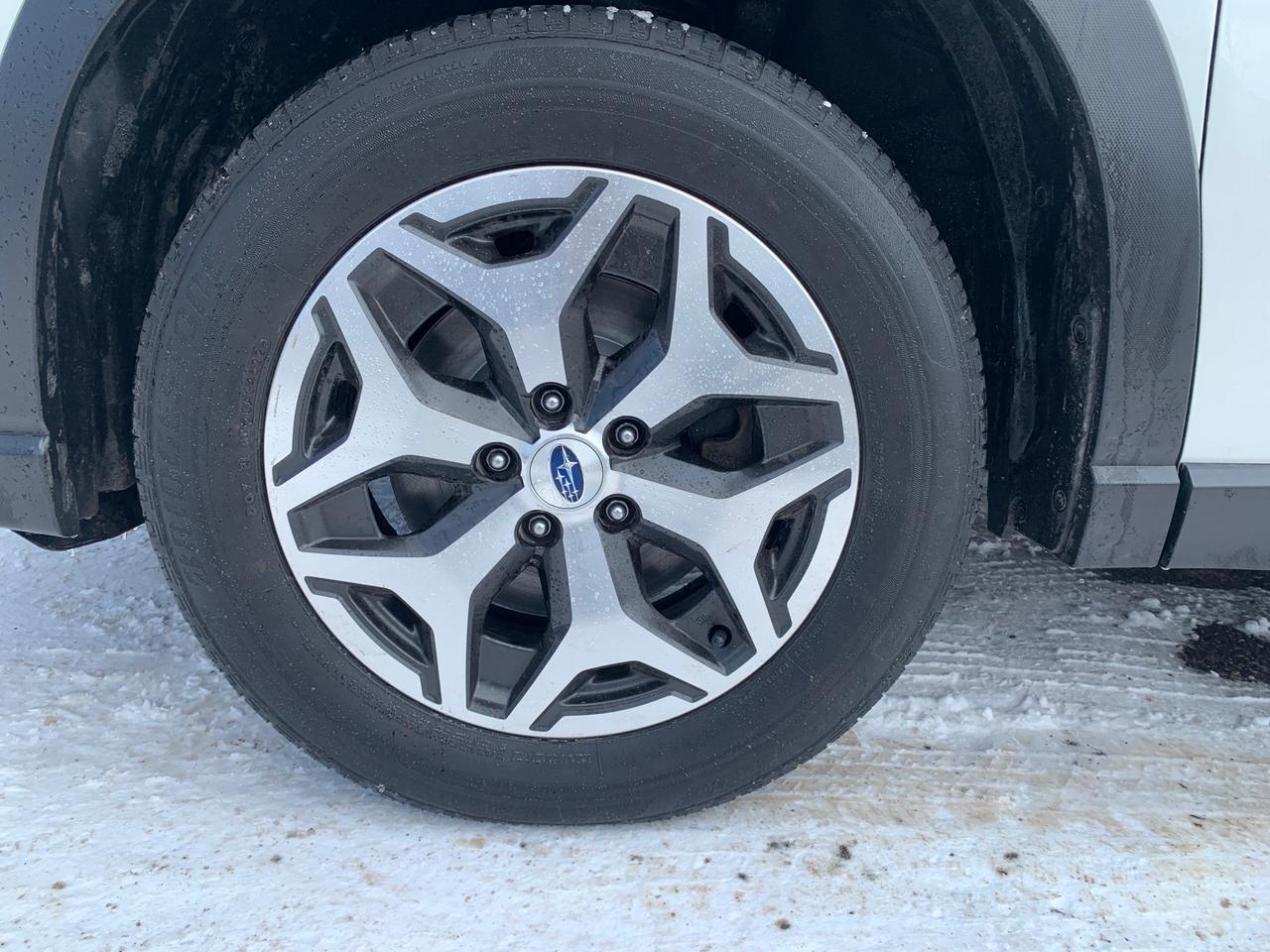 2023 Subaru Forester Touring 4dr All-Wheel Drive Photo