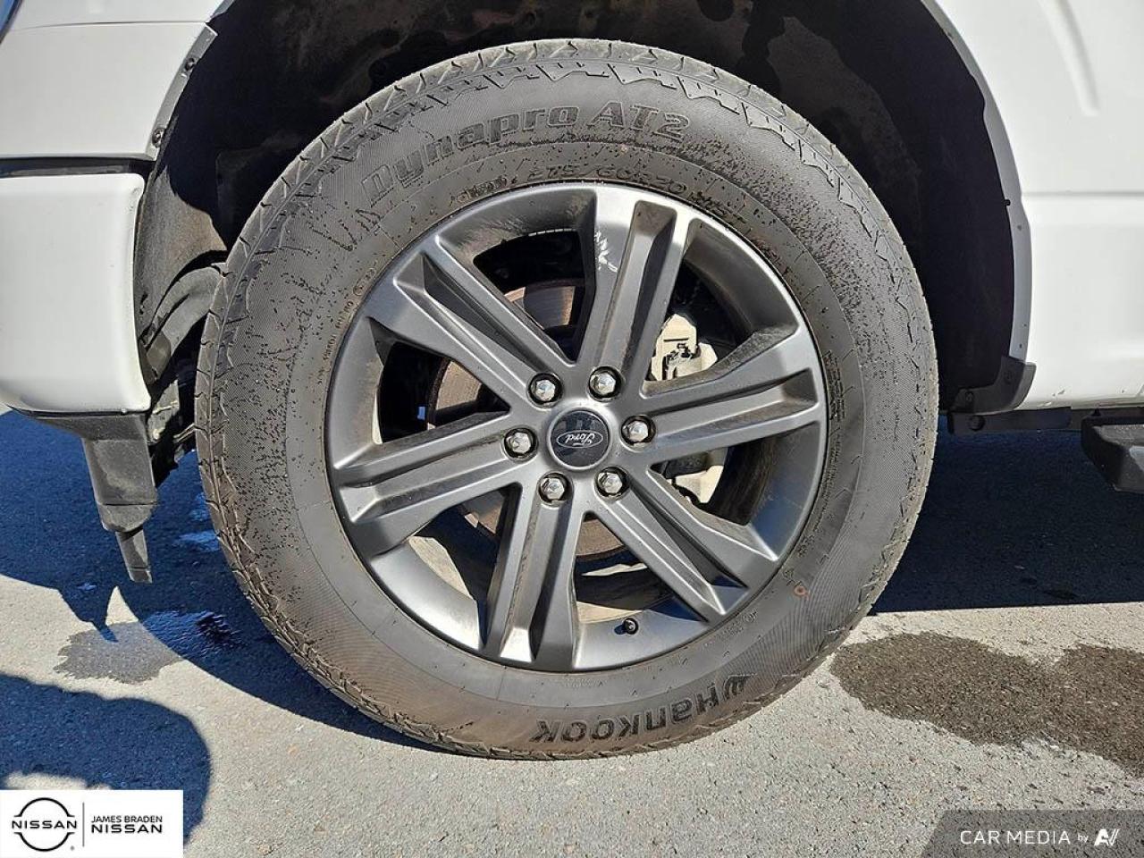 2023 Ford F-150  Photo