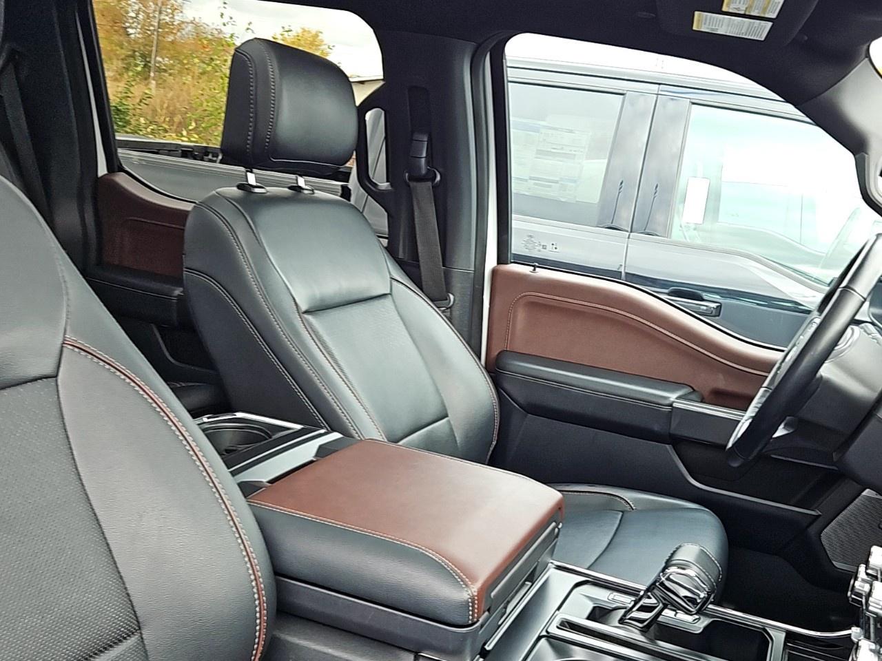 2023 Ford F-150  Photo