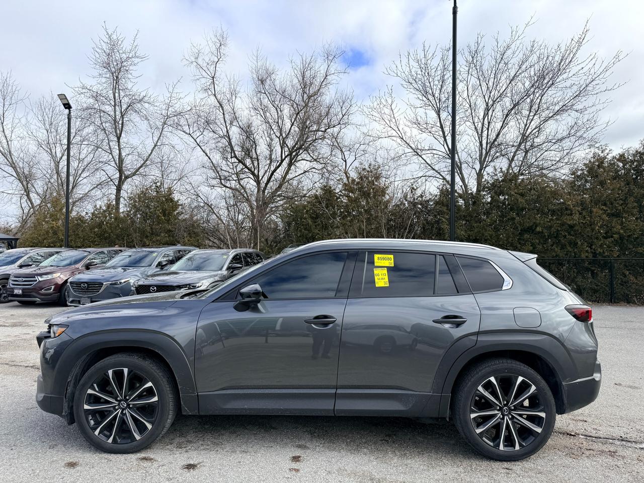 2024 Mazda CX-50 GT w/Turbo 4dr All-Wheel Drive Sport Utility Photo